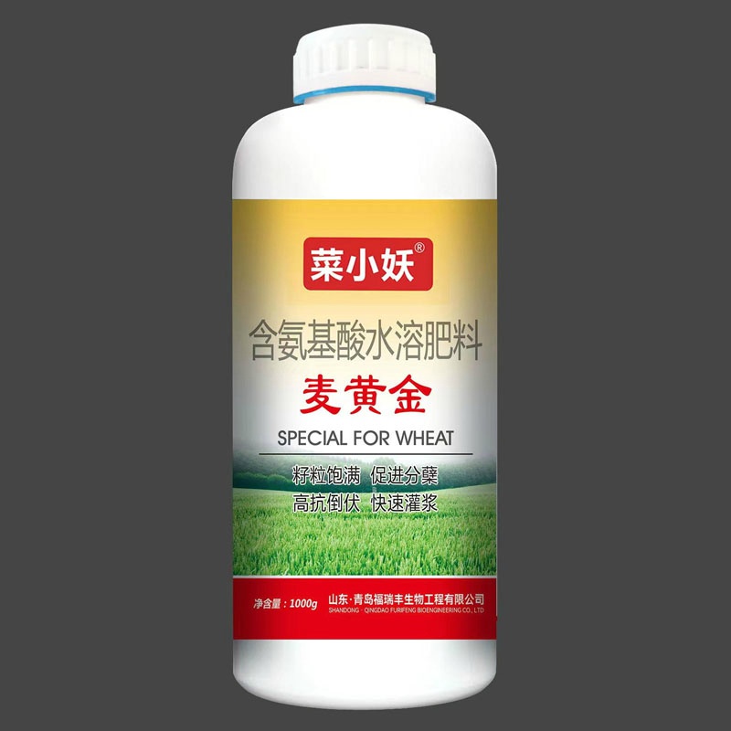 菜小妖?麥黃金